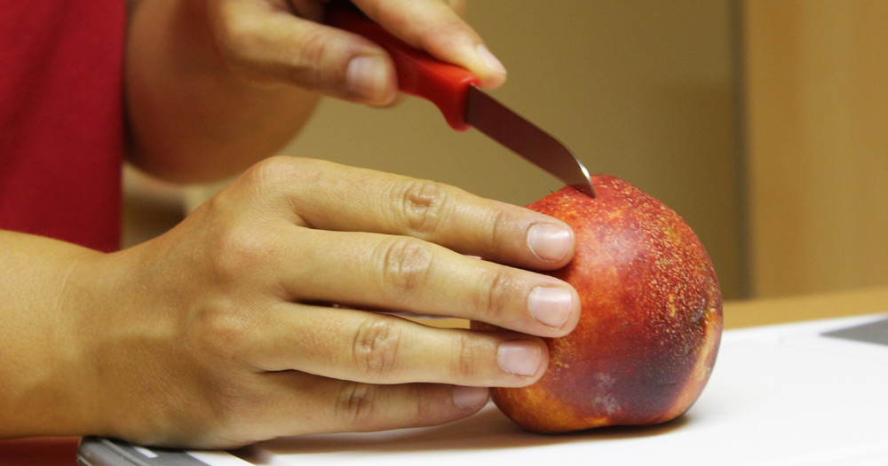 Ergotherapie | Apfel schneiden